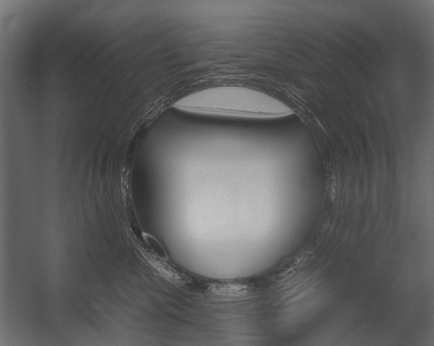 X0000054370476200507290835