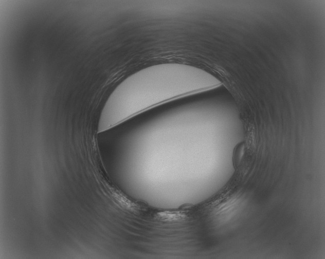 X0000054370477200507290835