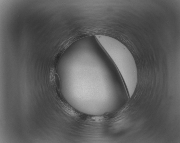 X0000054370478200507290836