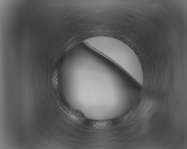 X0000054370479200507290836