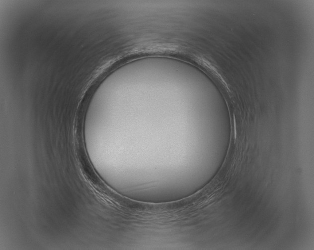 X0000054370483200507290835