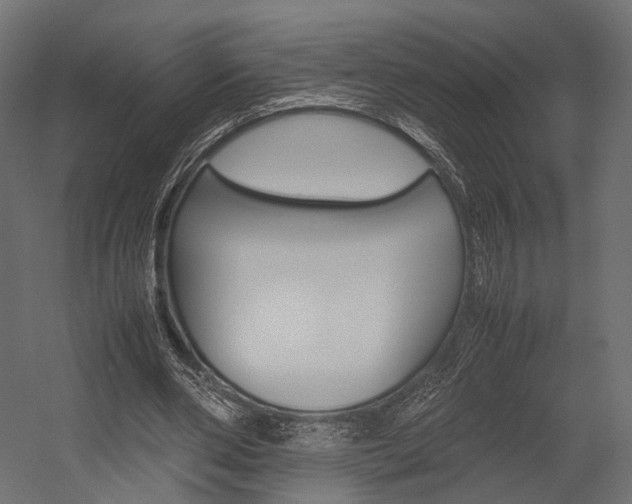 X0000054370486200507290835