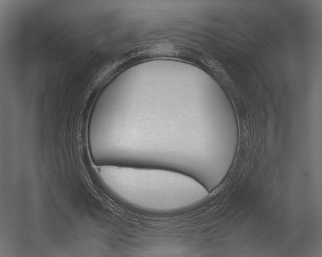 X0000054370487200507290835
