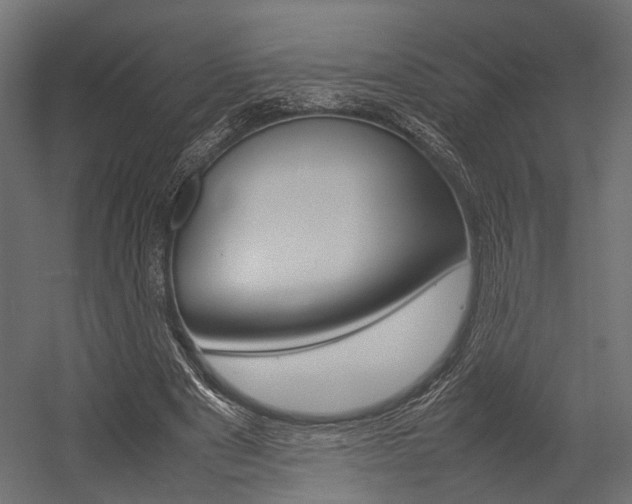 X0000054370489200507290835