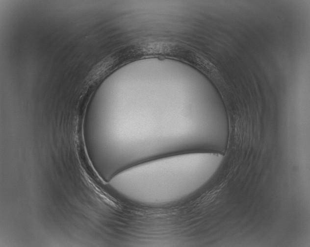 X0000054370490200507290835