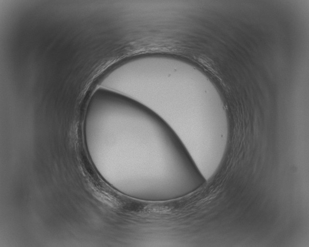 X0000054370491200507290835