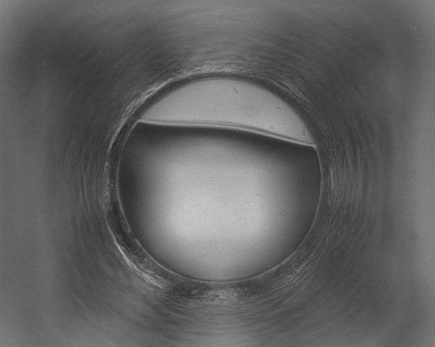 X0000054370492200507290835