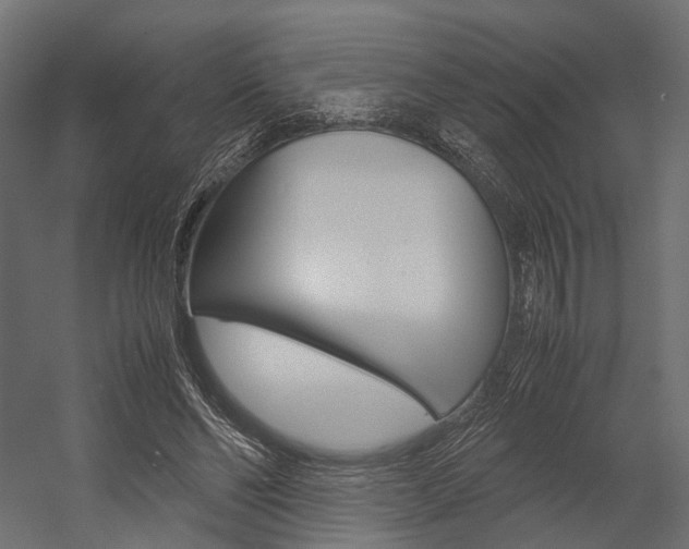 X0000054370494200507290835