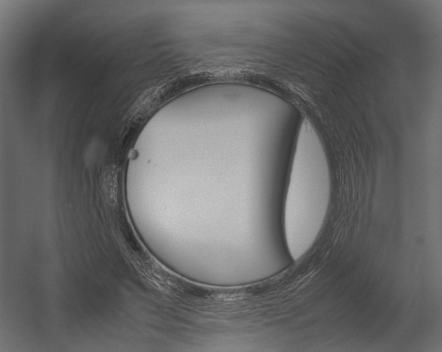 X0000054370495200507290834