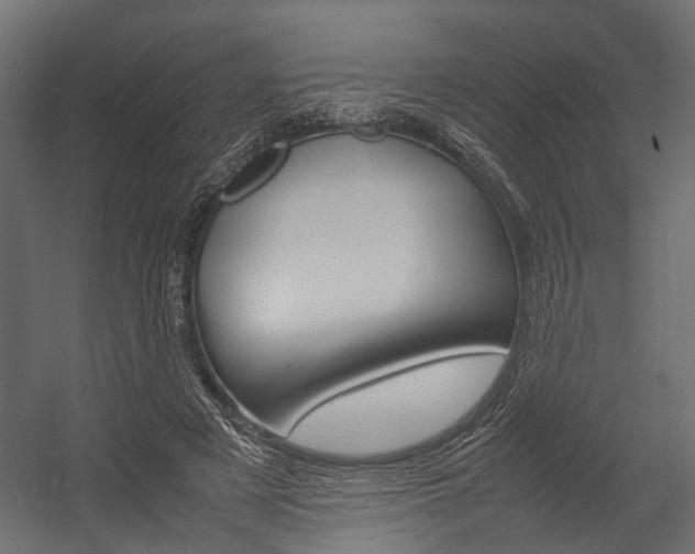 X0000054370497200507290834
