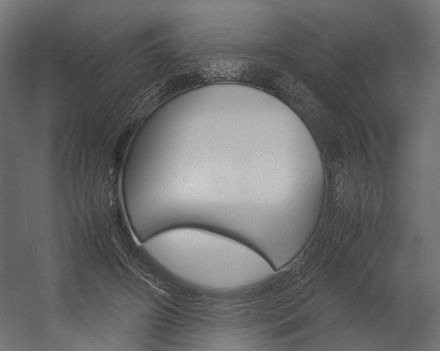 X0000054370498200507290834