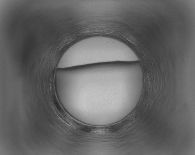 X0000054370499200507290834