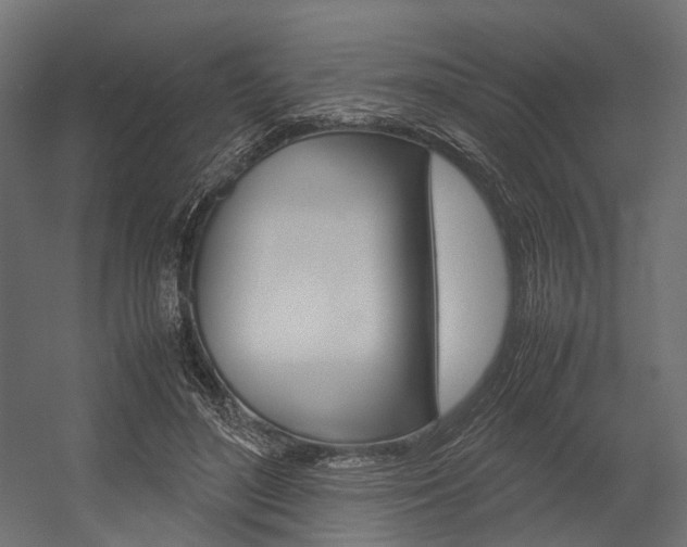 X0000054370500200507290834
