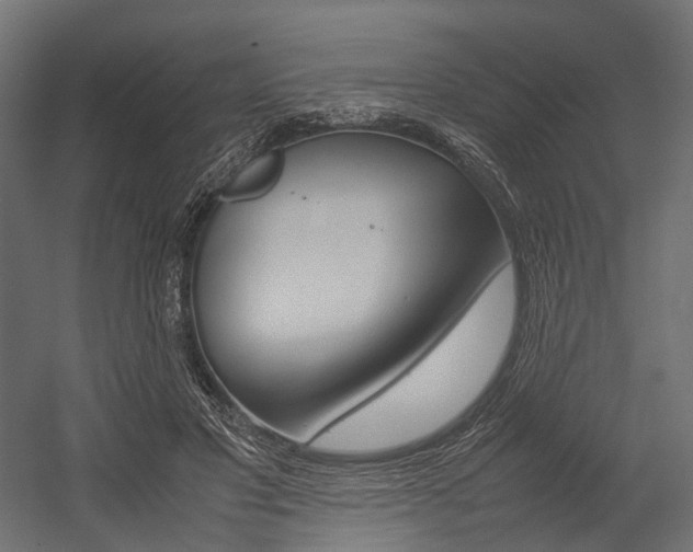 X0000054370501200507290834