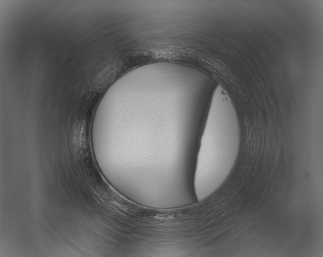 X0000054370502200507290834