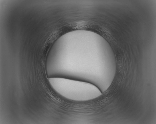 X0000054370503200507290834