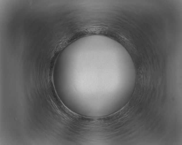 X0000054370504200507290834