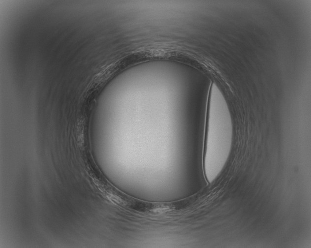 X0000054370505200507290834