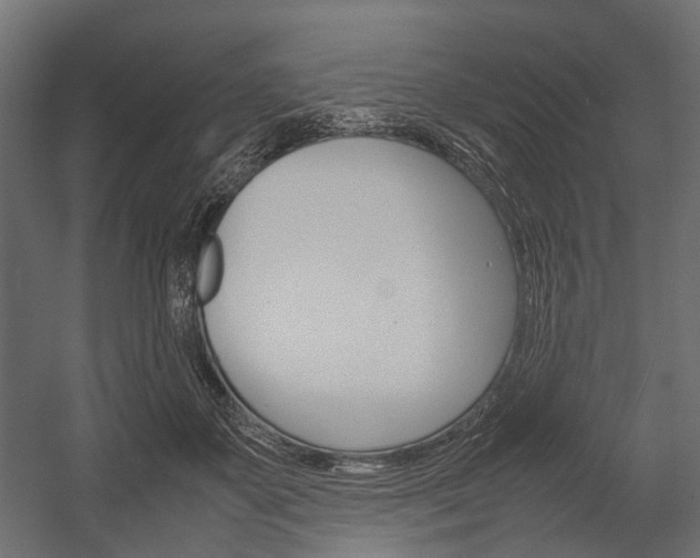 X0000054370507200507290834