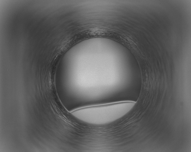 X0000054370508200507290834