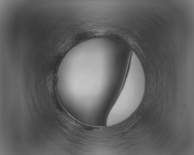 X0000054370509200507290834