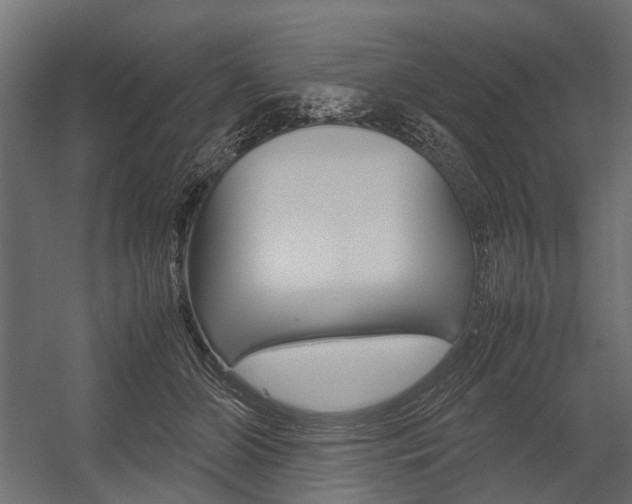 X0000054370510200507290834