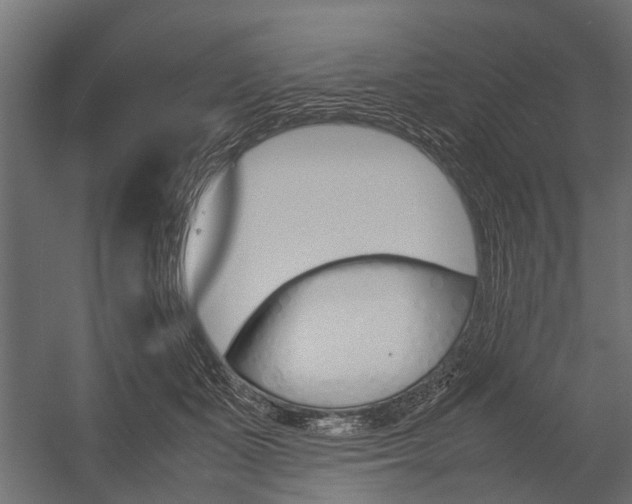 X0000054370511200507290834