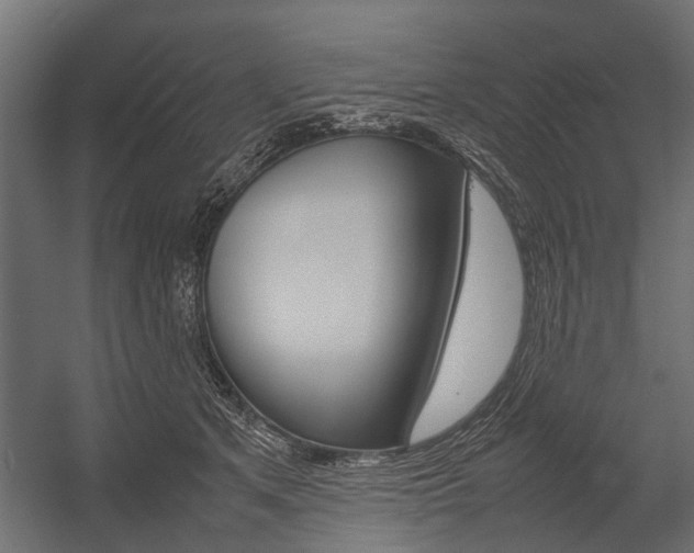 X0000054370513200507290834