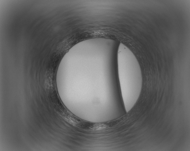 X0000054370514200507290834