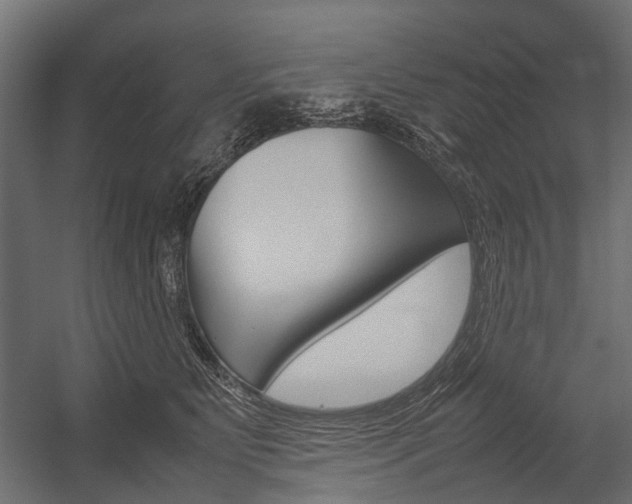 X0000054370515200507290834
