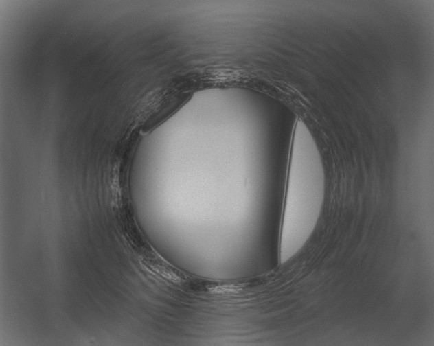X0000054370516200507290834