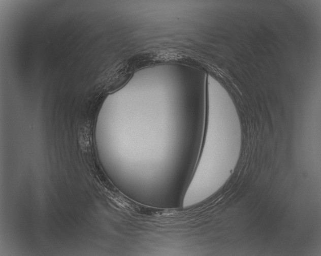 X0000054370517200507290834