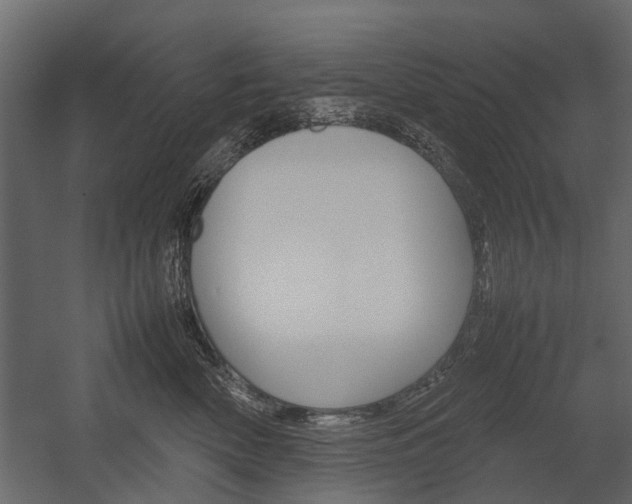 X0000054370522200507290834