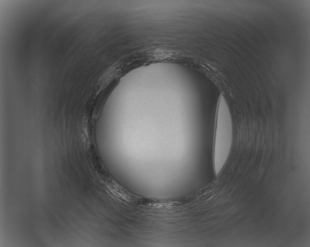 X0000054370524200507290834