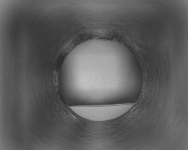 X0000054370528200507290834
