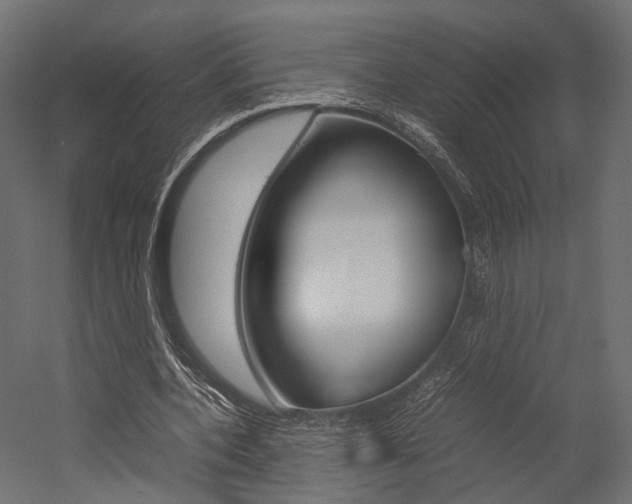 X0000054370532200507290833