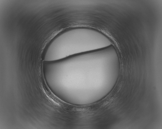 X0000054370533200507290833