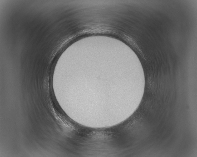 X0000054370534200507290833