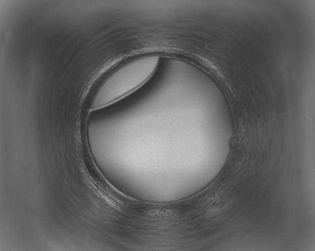 X0000054370535200507290833