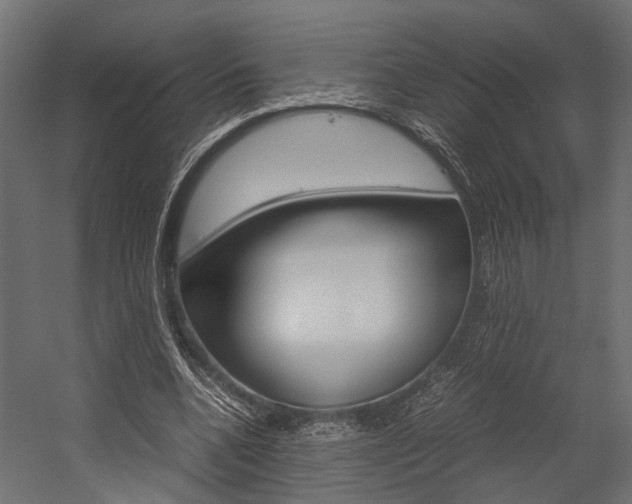 X0000054370536200507290833