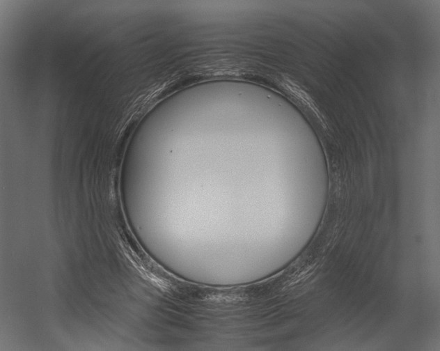X0000054370537200507290833