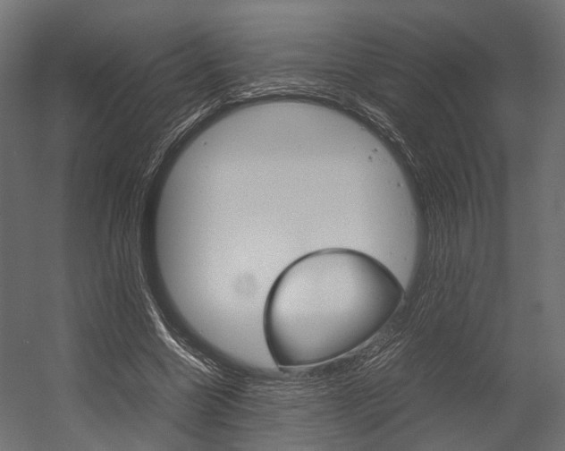 X0000054370538200507290833