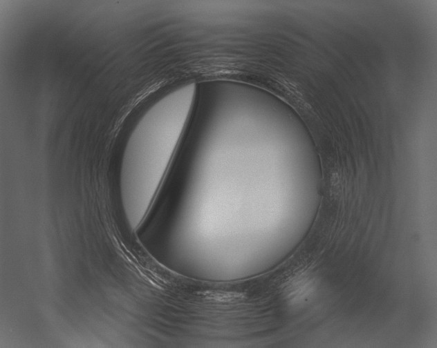 X0000054370539200507290833