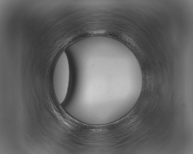 X0000054370541200507290833