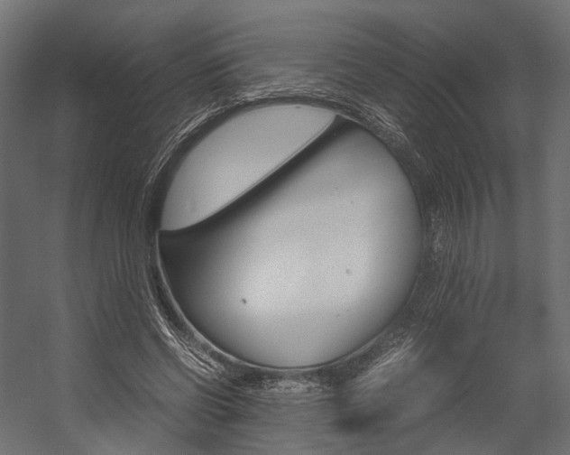 X0000054370542200507290833