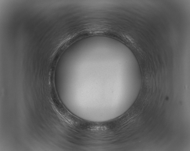 X0000054370543200507290833