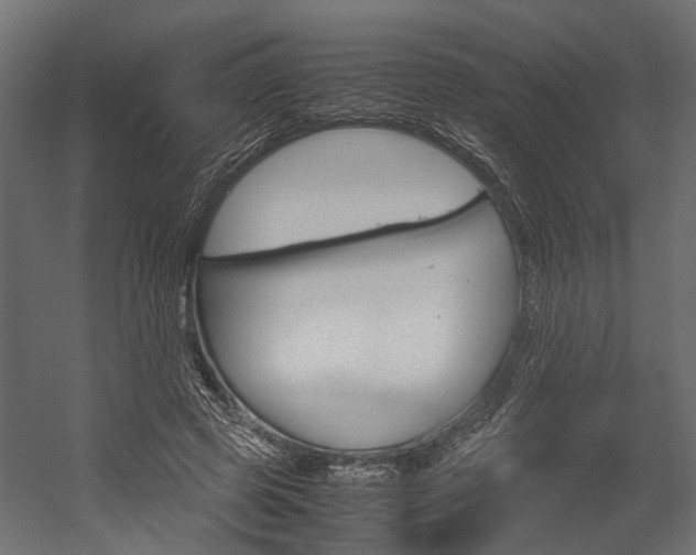 X0000054370545200507290833