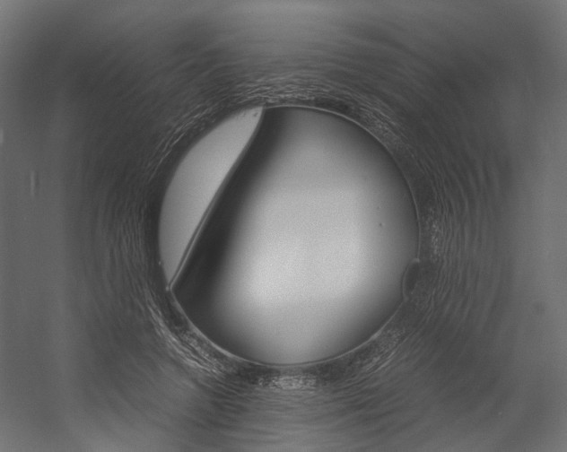 X0000054370546200507290833