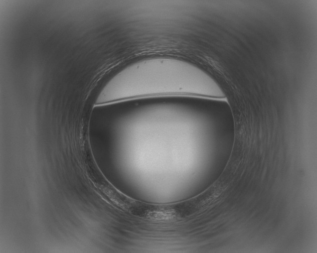 X0000054370548200507290833