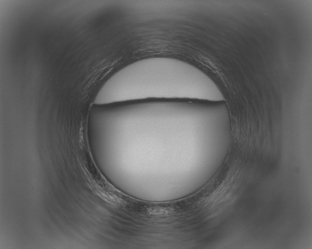 X0000054370549200507290833